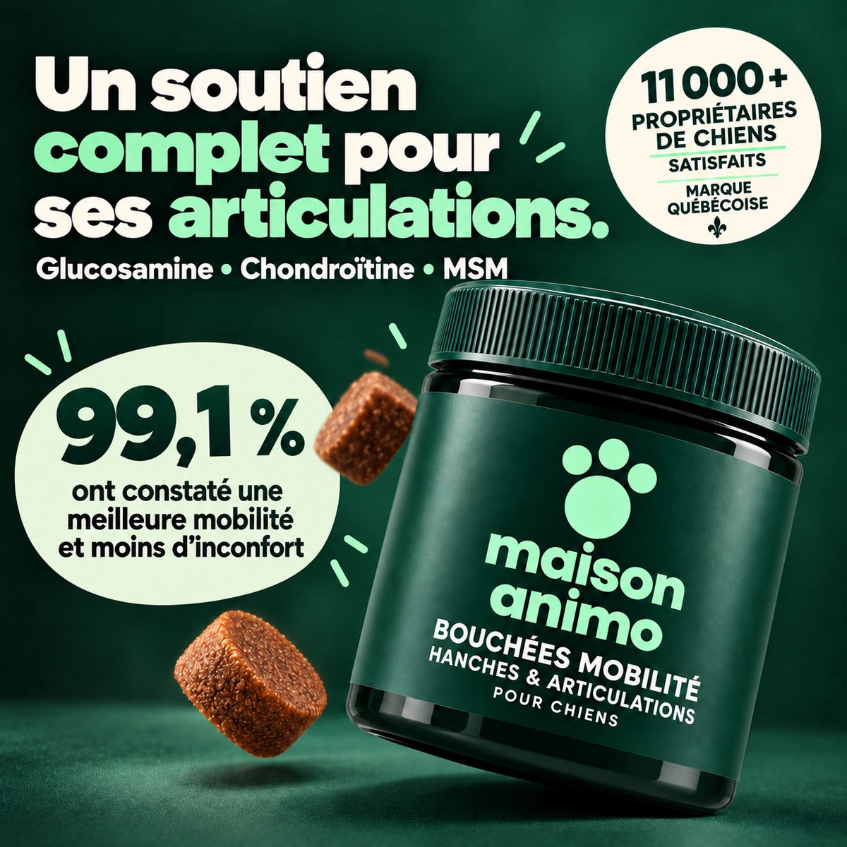 Maison Animo — Hanches et articulations