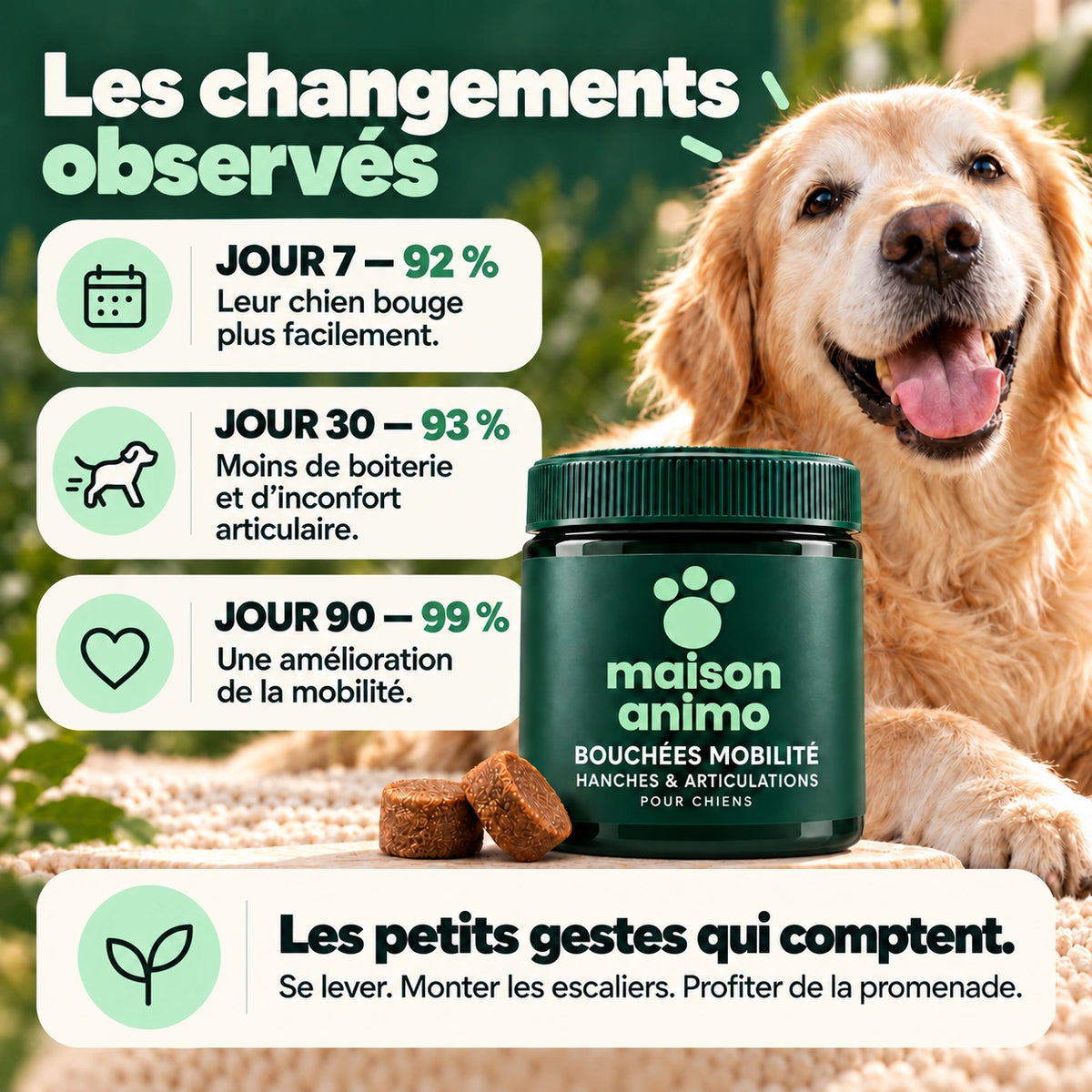 Maison Animo — Hanches et articulations