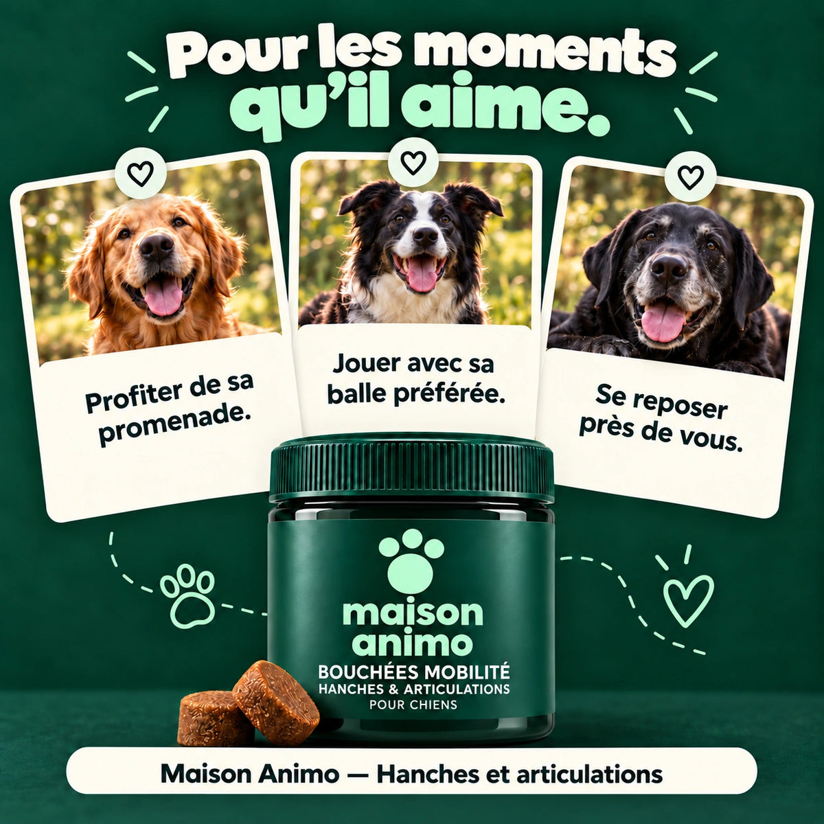 Maison Animo — Hanches et articulations