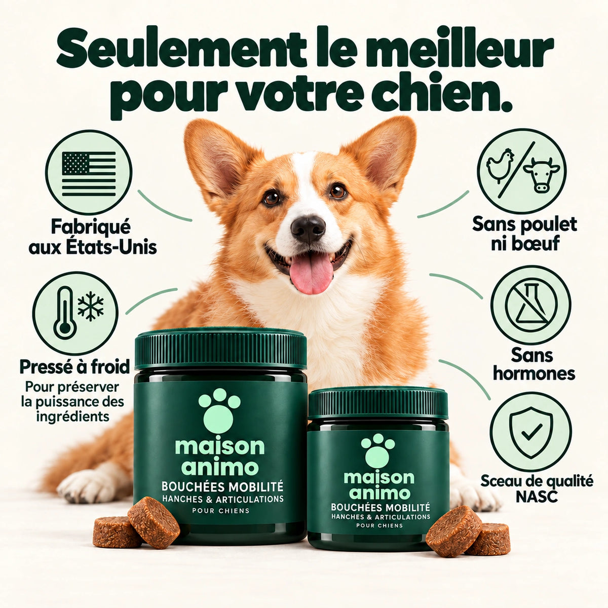 Maison Animo — Hanches et articulations