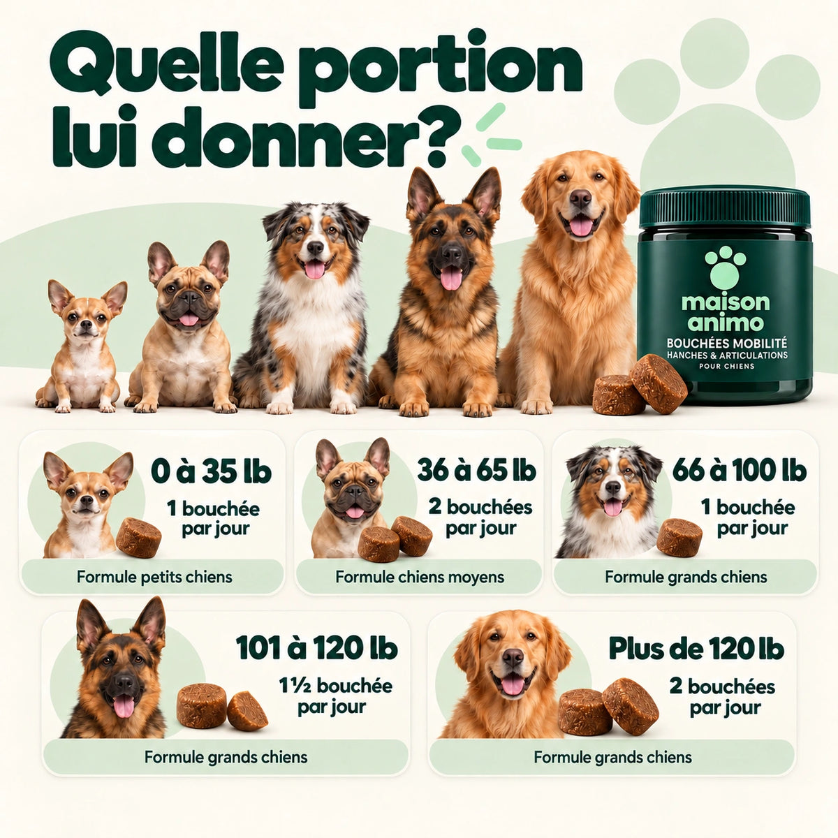 Maison Animo — Hanches et articulations