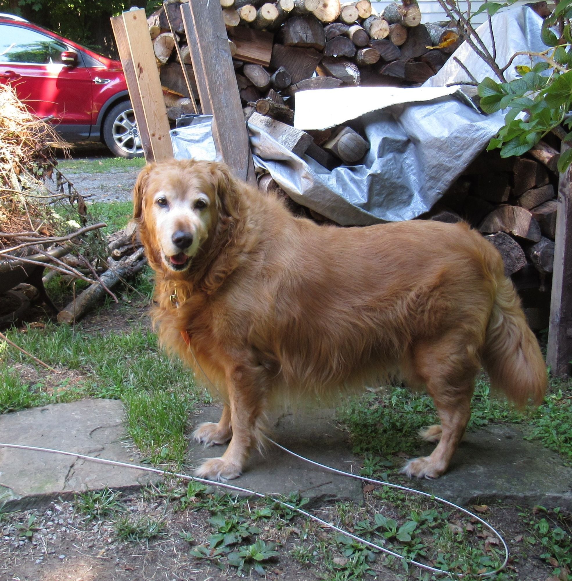 Photo partagée par un client Maison Animo
