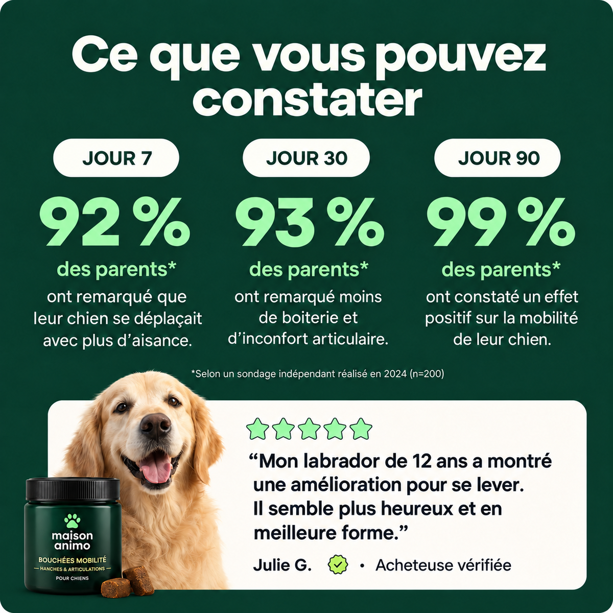 Soulagez les raideurs des hanches et des articulations — pour un pitou plus mobile et confortable