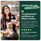Soulagez les raideurs des hanches et des articulations — pour un pitou plus mobile et confortable