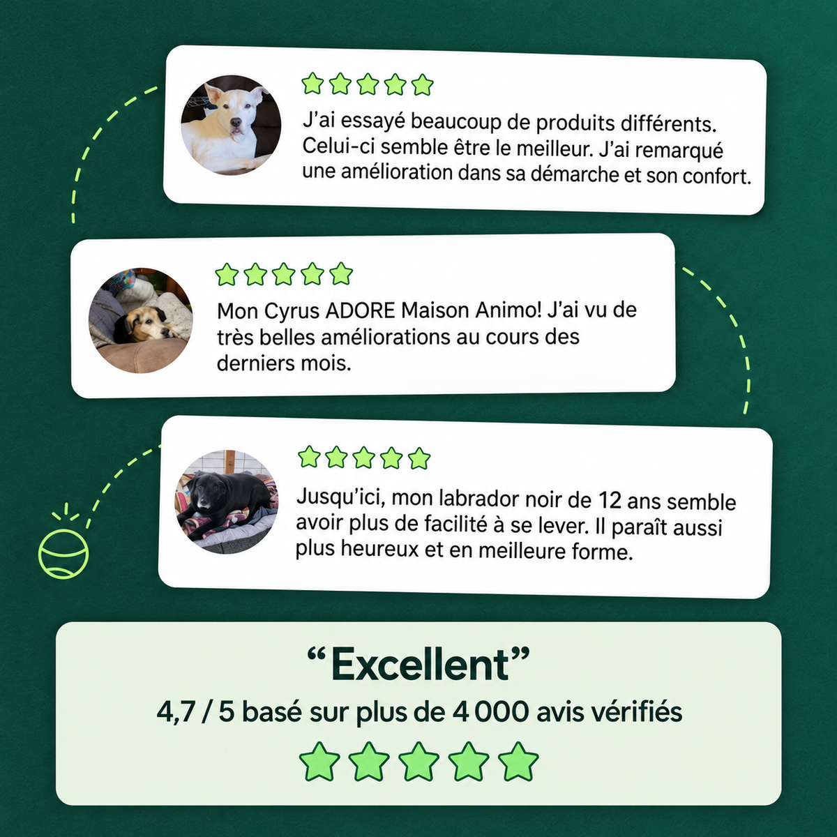 Soulagez les raideurs des hanches et des articulations — pour un pitou plus mobile et confortable
