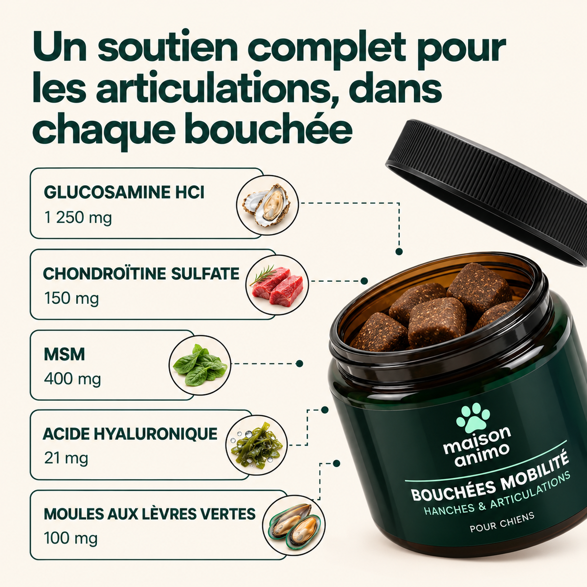 Soulagez les raideurs des hanches et des articulations — pour un pitou plus mobile et confortable